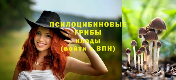 прущий лед Горняк
