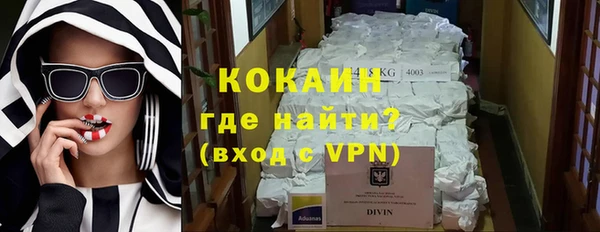 ПСИЛОЦИБИНОВЫЕ ГРИБЫ Горнозаводск