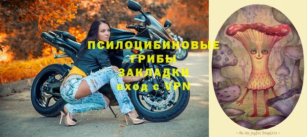 ПСИЛОЦИБИНОВЫЕ ГРИБЫ Горнозаводск