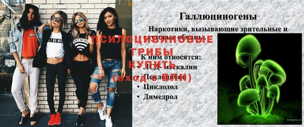 COCAINE Горно-Алтайск