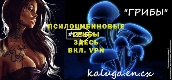 прущий лед Горняк