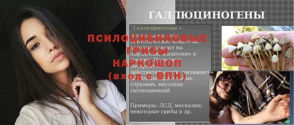 прущий лед Горняк