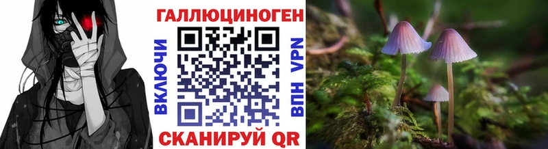 мориарти какой сайт  Очёр  Галлюциногенные грибы Psilocybine cubensis  наркошоп 